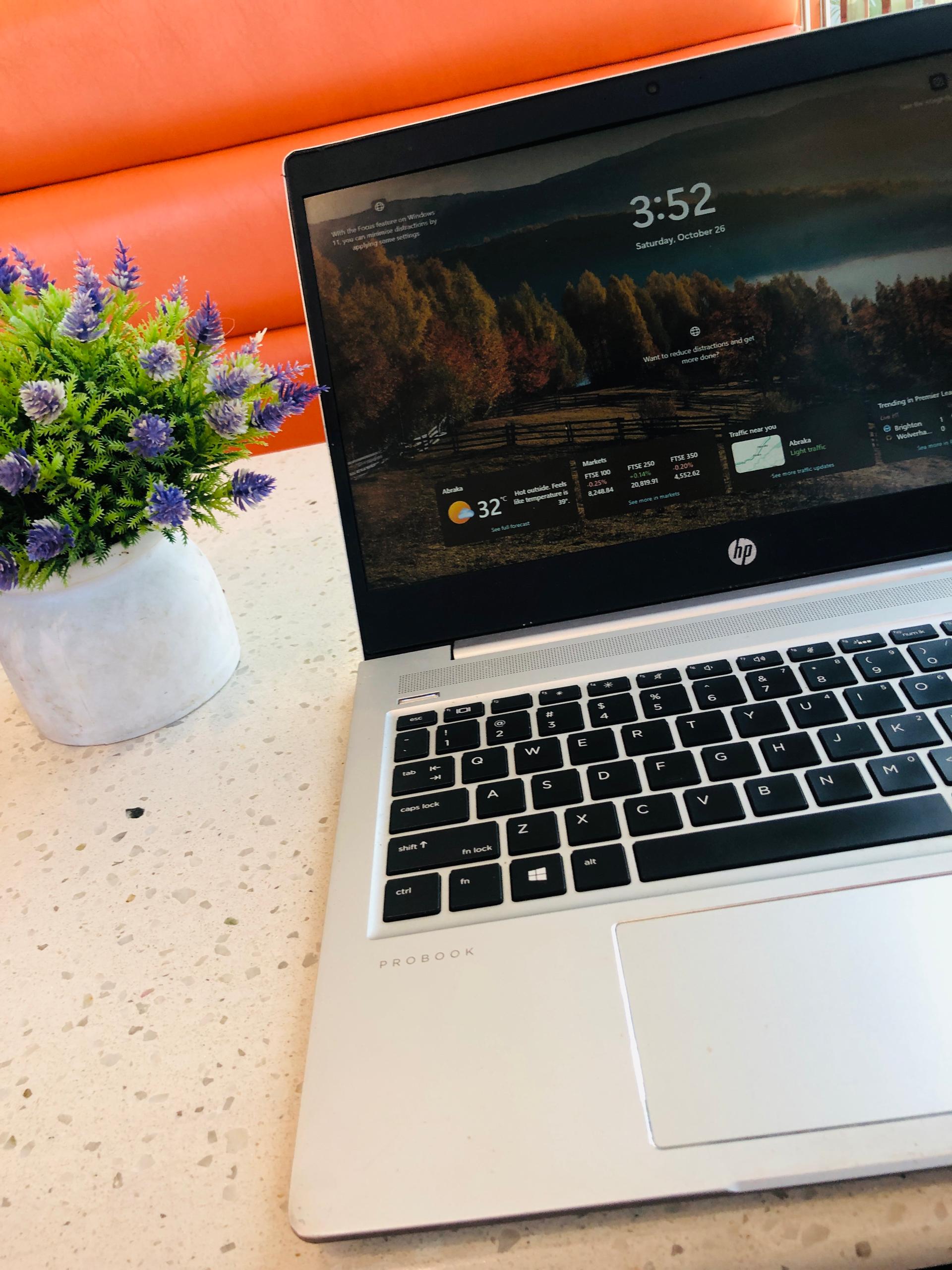 Full Stack Developer working